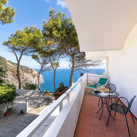 Grazia Scannella Forio di Ischia