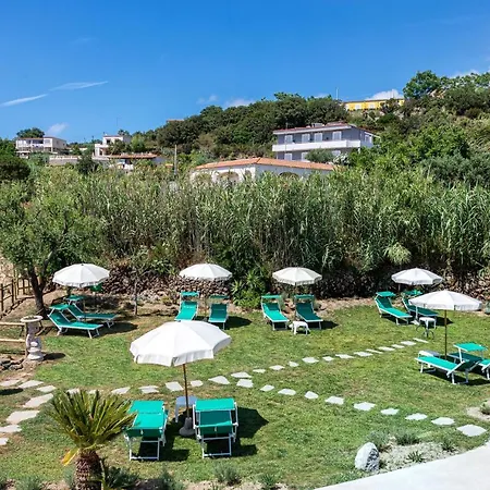 Grazia Scannella 4*