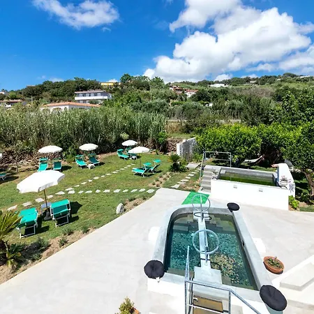 Grazia Scannella 4*