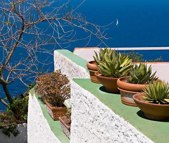 Grazia Scannella 4*